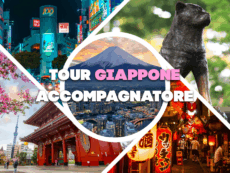 Offerta Tour Giappone Accompagnatore