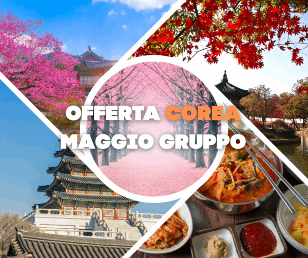 Tour Corea del Sud