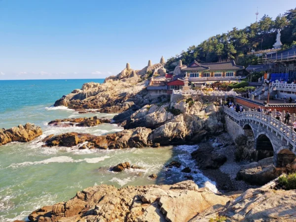 Tour Corea del Sud - immagine 4